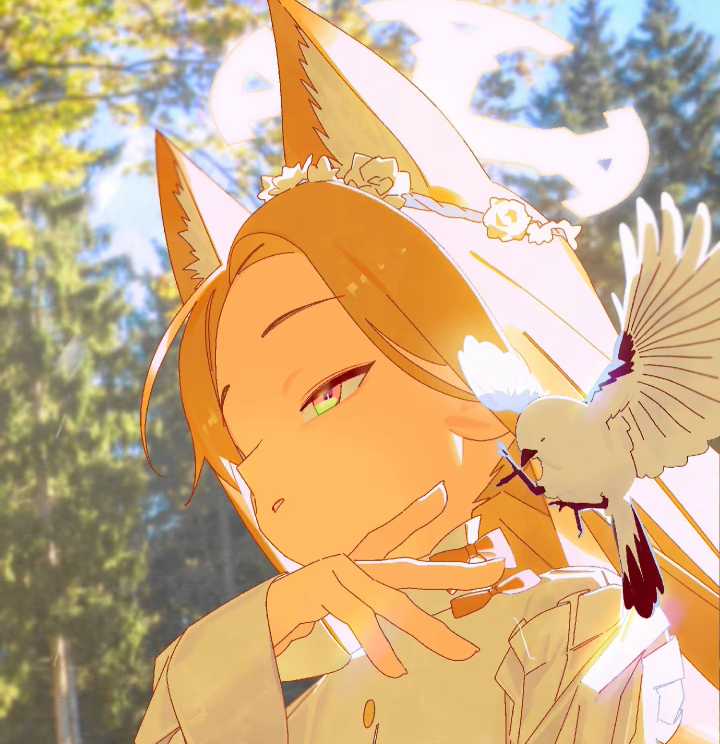 『博客开发日记-后台』之获取用户信息接口的实现