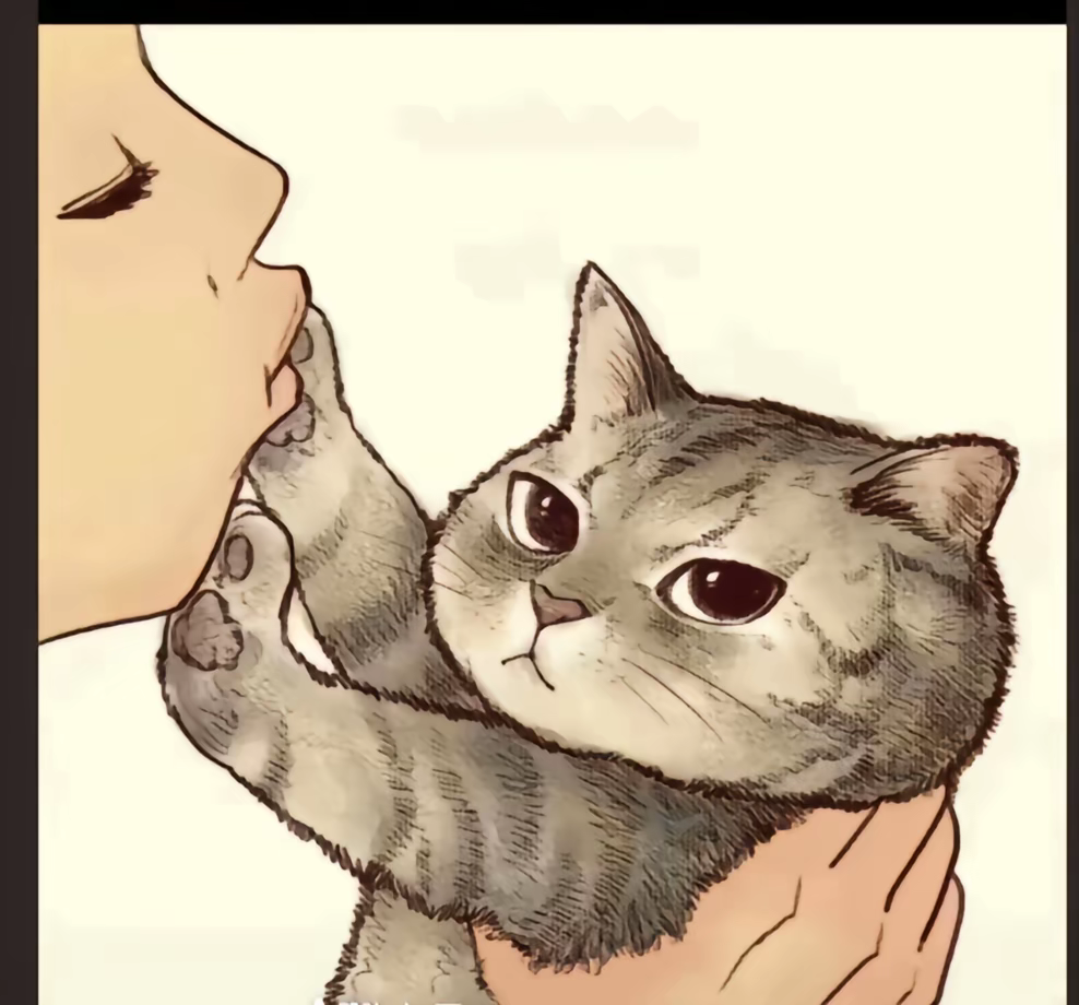 『博客开发日记』之前台和后台一些关于获取文章列表接口对文章所属分类检测的优化